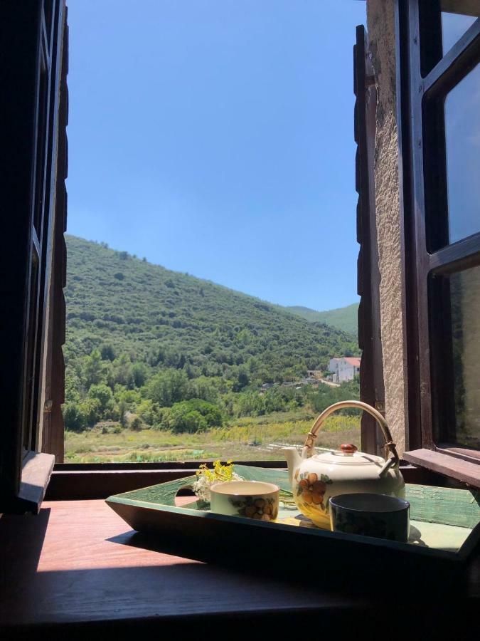 Holiday Home Villa Kastel Zrnovo Exterior foto